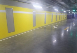 钢质好色视频APP下载